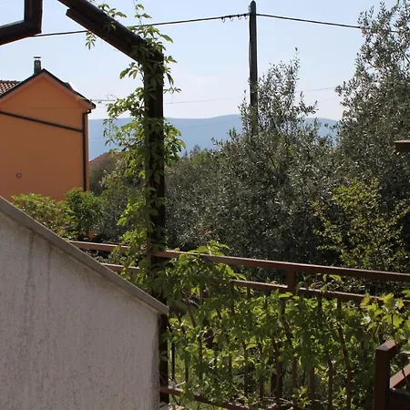 5319b Pinezići