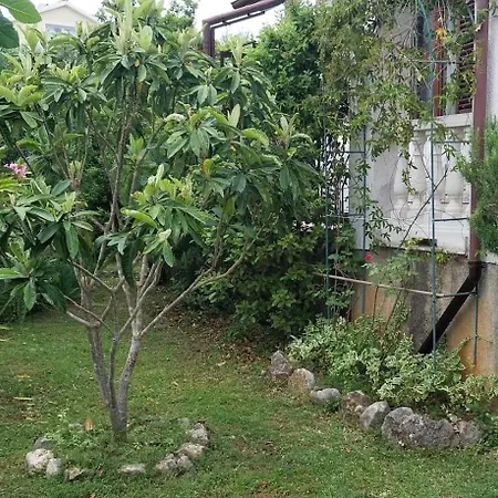 5319b Apartment *