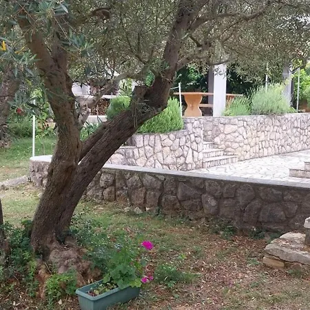 5319b Apartment *