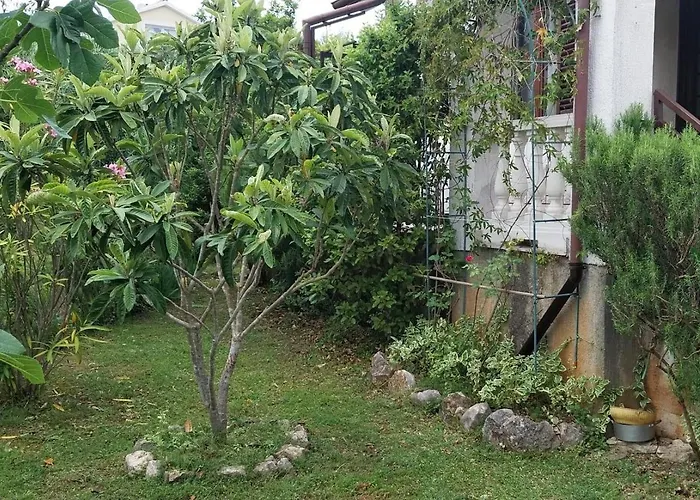 5319b Apartament *