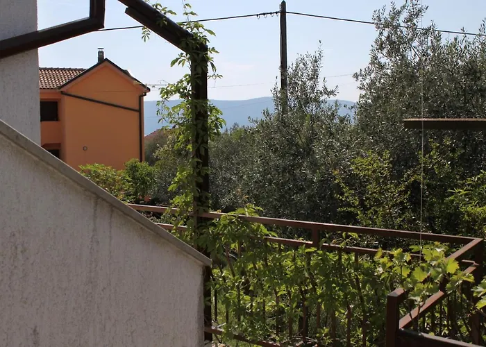 5319b Pinezići