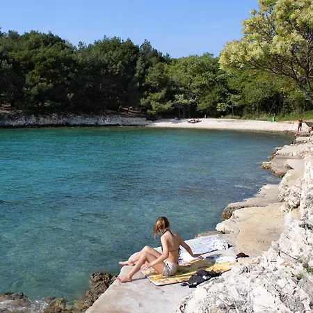 5319b Apartman Pinezici (Krk)